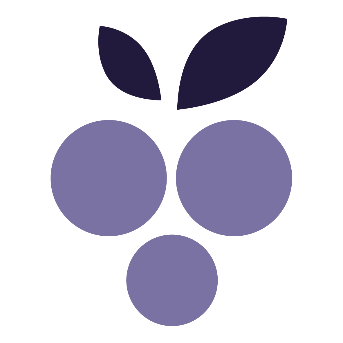 INFOGRAPE